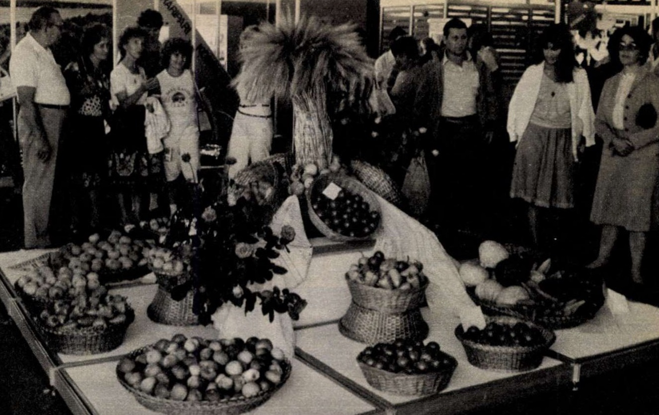 idokapszula_nb_i_1985_86_4_fordulo_omek_szovjet_pavilon.jpg