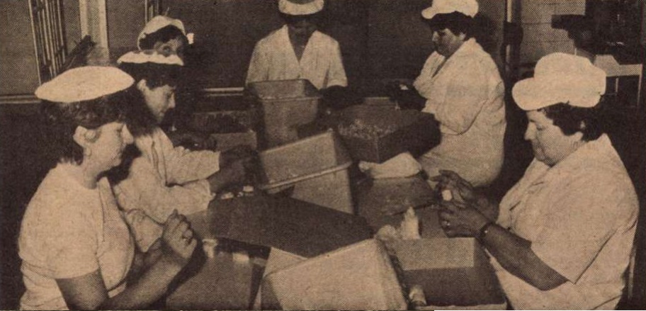 idokapszula_nb_i_1985_86_5_fordulo_kormendi_egis.jpg