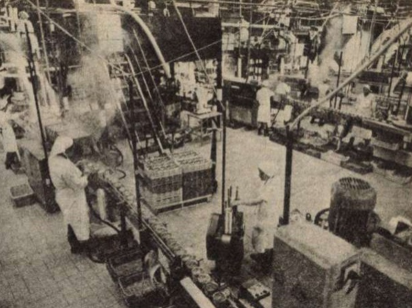 idokapszula_nb_i_1985_86_8_fordulo_debreceni_tartosipari_kombinat.jpg