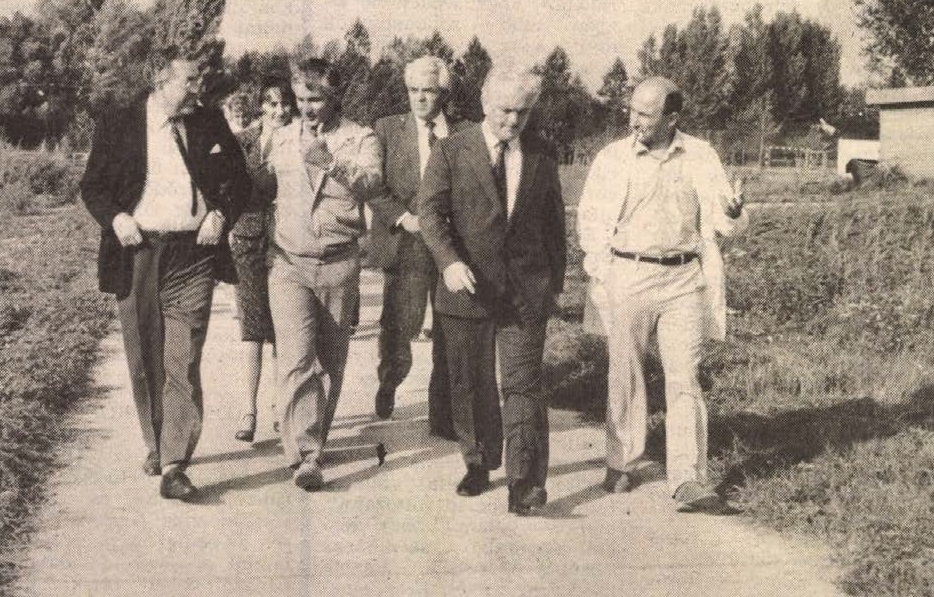 idokapszula_nb_i_1985_86_klubcsapataink_nemzetkozi_kupaszereplese_1_fordulo_1_kor_fekete_janos_peter_greening.jpg