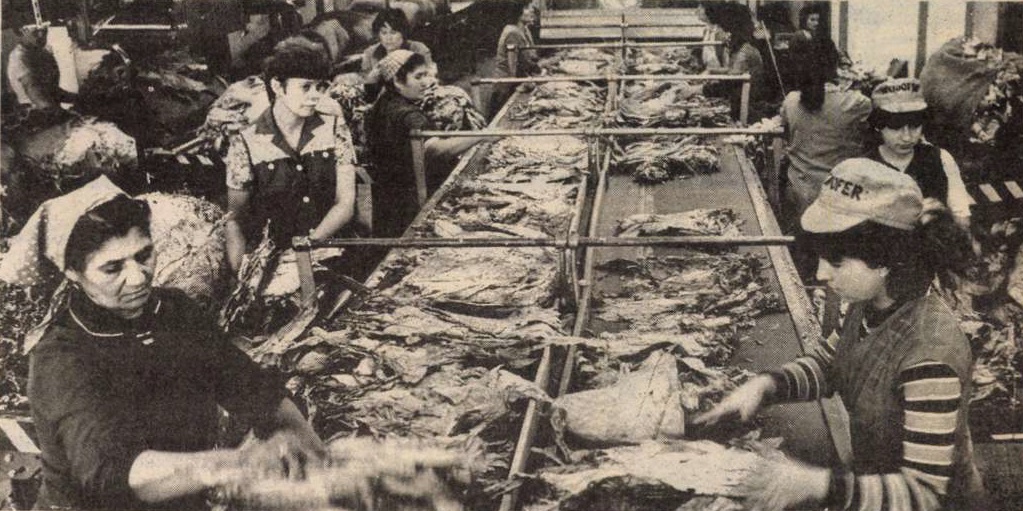 idokapszula_nb_i_1985_86_klubcsapataink_nemzetkozi_kupaszereplese_1_fordulo_1_kor_nyiregyhazi_dohanyfermentalo.jpg