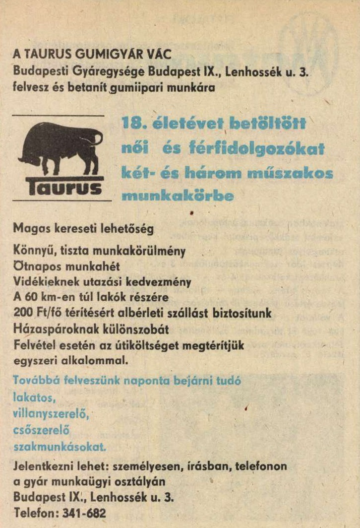 idokapszula_nb_i_1985_86_bevezetes_allasajanlat_3.jpg