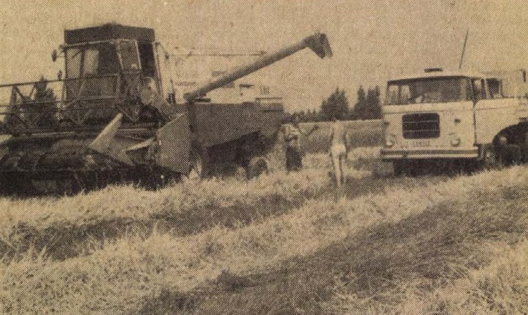 idokapszula_nb_i_1985_86_bevezetes_tiszafoldvari_lenin_tsz.jpg