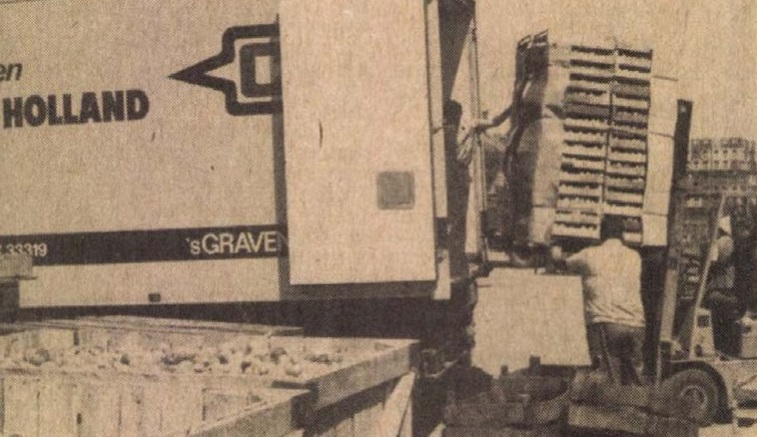 idokapszula_nb_i_1985_86_bevezetes_tiszakecskei_beke_es_szabadsag_tsz.jpg