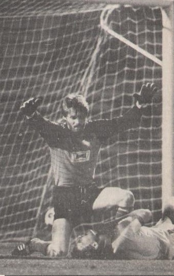 osztalynaplo_zsiboras_gabor_ferencvaros_marka.jpg