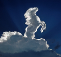 http://i479.photobucket.com/albums/rr152/Madcat_Masamune_Fair/Horses/Horse_cloud_by_Frankenstijn.jpg