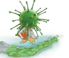 koronavirus3.jpg