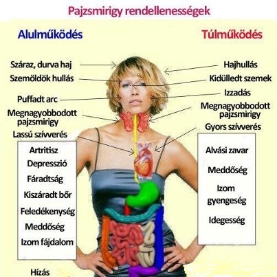 pajzsmirigy_alulmukodes_tulmukodes_1.jpg