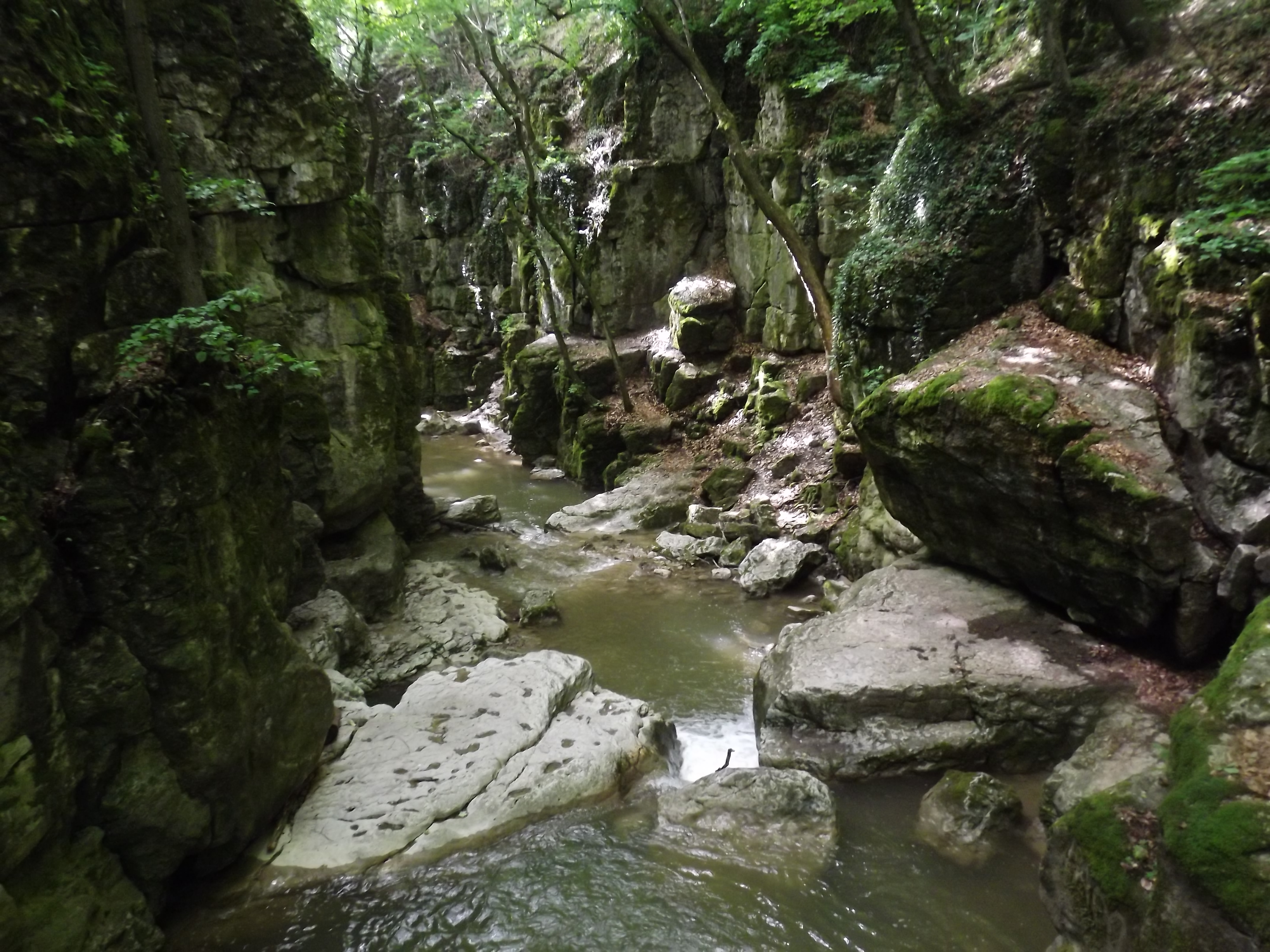 8a.JPG