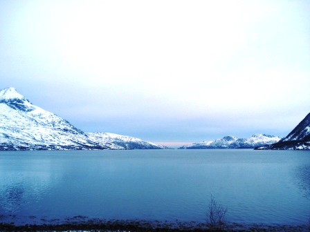 kaldtfjord.jpg