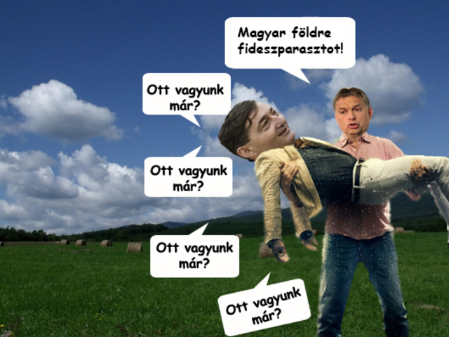 Maffiacsaládok földárverése