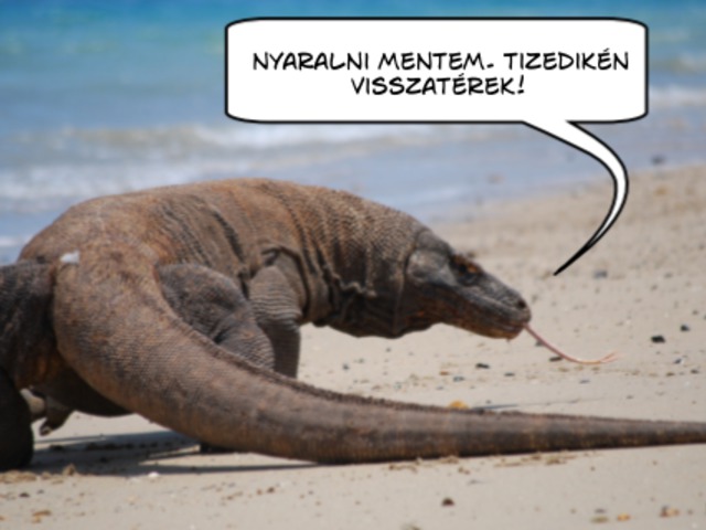Varánusz hálidéj
