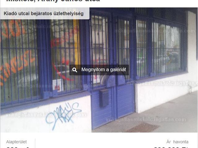 Ákos a mutyibirodalomban