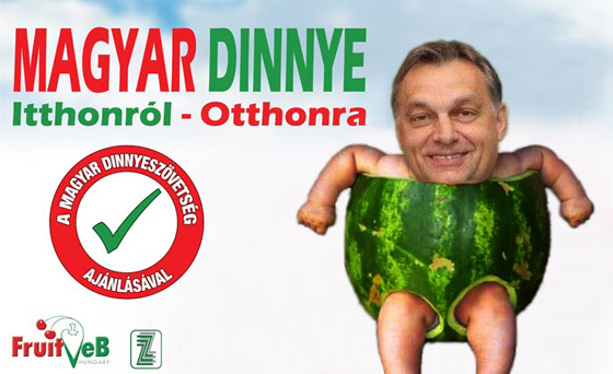 orbán dinnye_1.jpg
