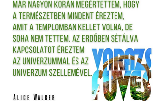 Napi idézet - Kapcsolat a természettel