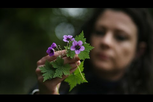 ‘What I do’ - Foeaging for me is “connecting with nature