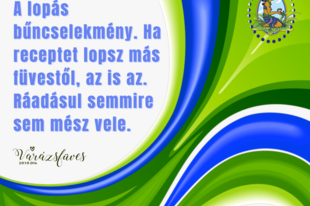 Napi gondolatom - lopás