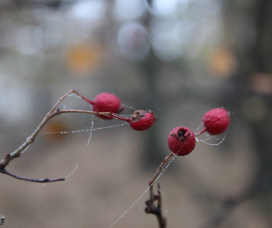 7e522861-b02e-42b7-8285-99f15d1fd3da.png