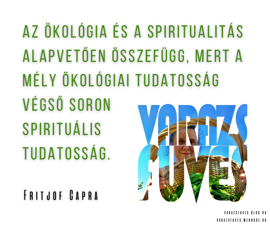 irj_be_nemi_torzsszoveget.png