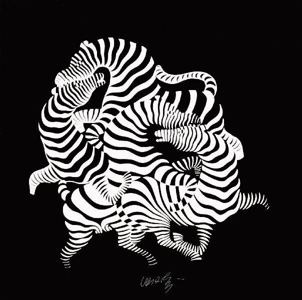 vasarely_zebrak.jpg