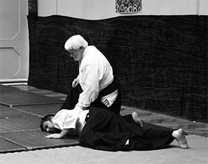 aikido.jpg