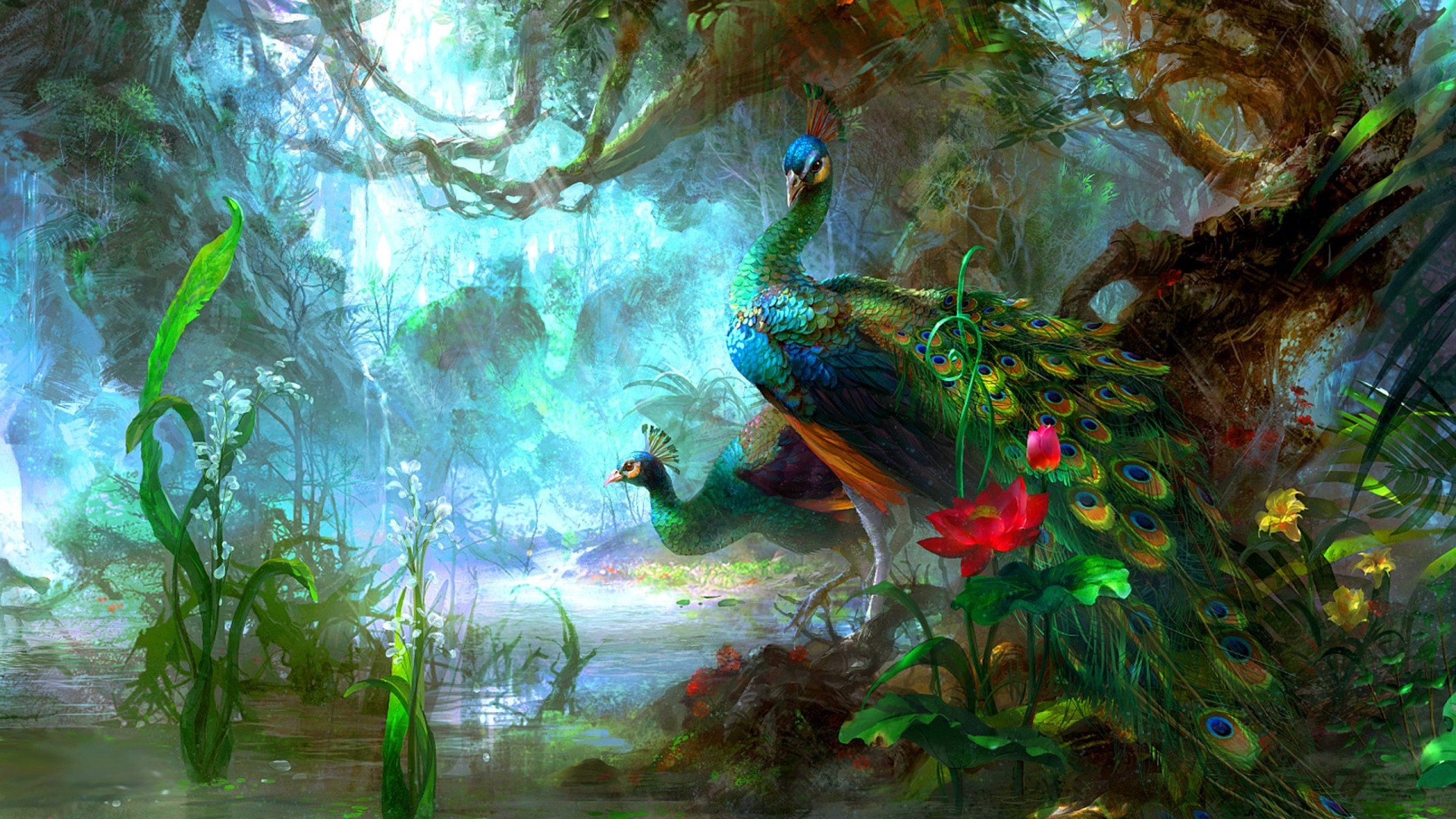 beautiful-peacock-colorful-wallpaper-1920x1080.jpg