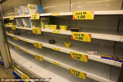 tesco2010winter.jpg