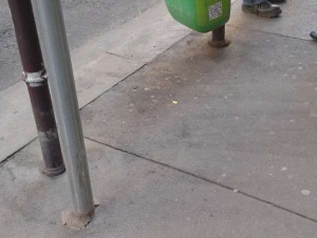 Belvárosi kukaroncsok