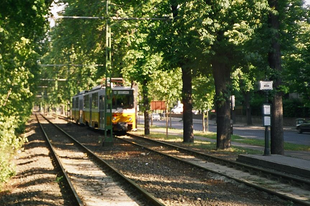 Lukra futtatott nyilvánosság - avagy fórum BKK módra