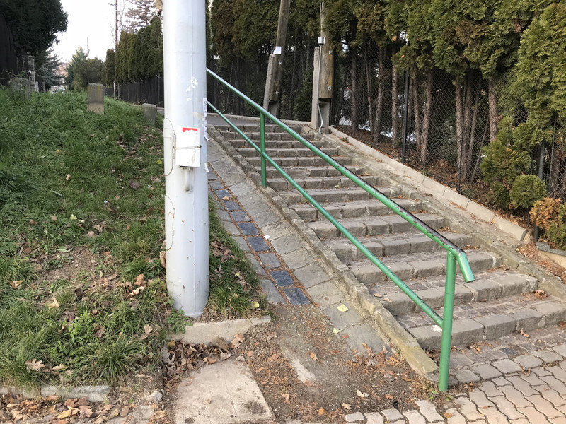 IMG 1275
