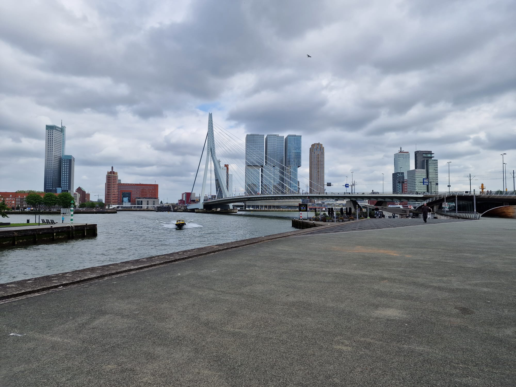 rotterdam.jpg