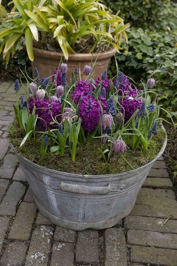 garden-pots.jpg