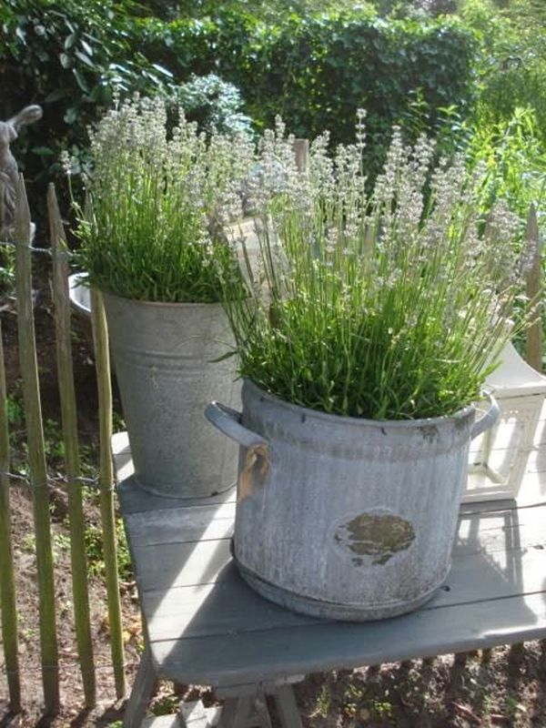 zinc-buckets-atelier-de-campagne.jpg