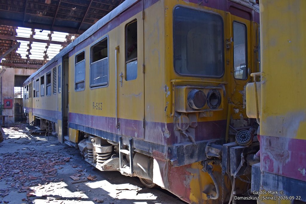 dsc_0495.JPG