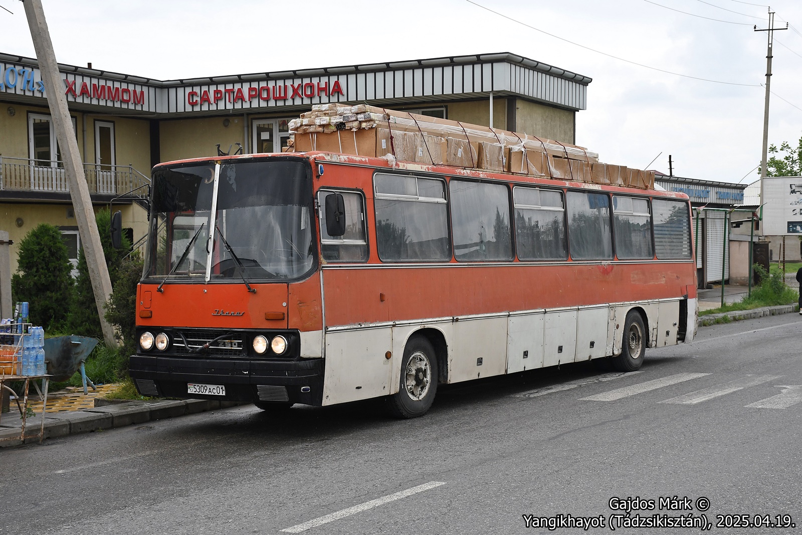 dsc_3504.JPG