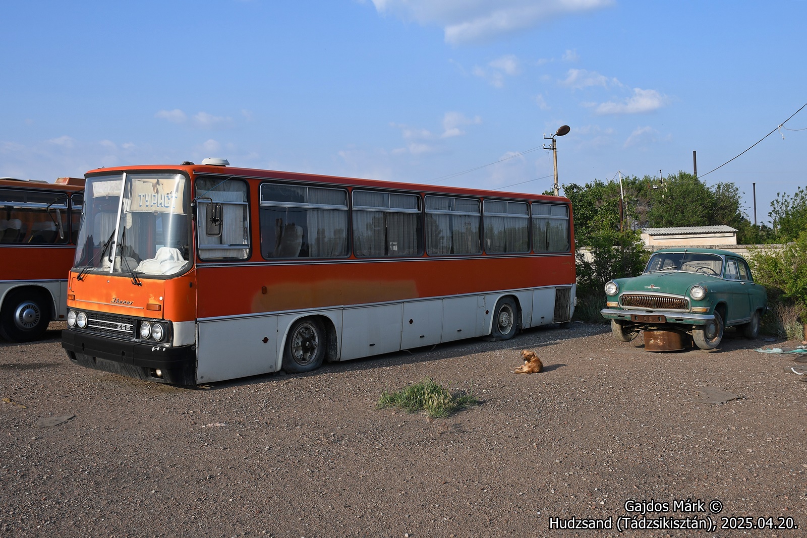 dsc_3703.JPG