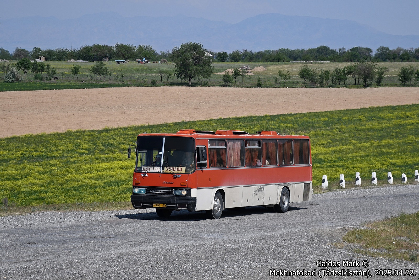 dsc_3872.JPG