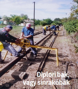 diplori-bak.jpg