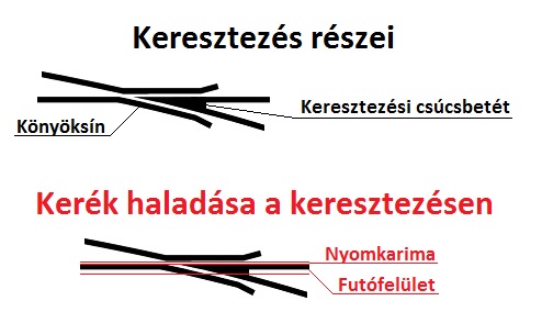 keresztezes.jpg