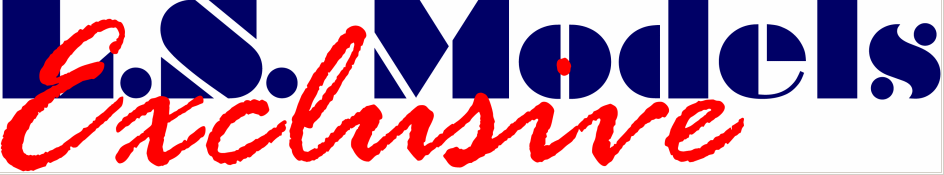 lsmodels_logo_944x175.gif