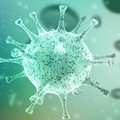 Mi a koronavírus és miért félünk tőle?