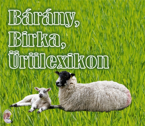 barany_birka_urulogo_2016.jpg