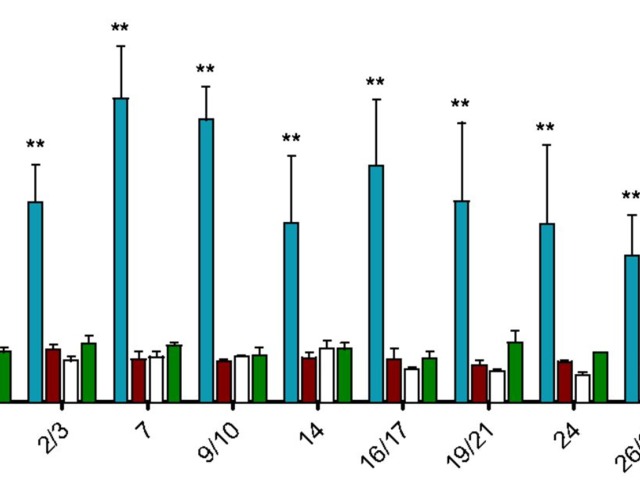 Mi a baj a szamárköhögés elleni oltással? (2. rész)