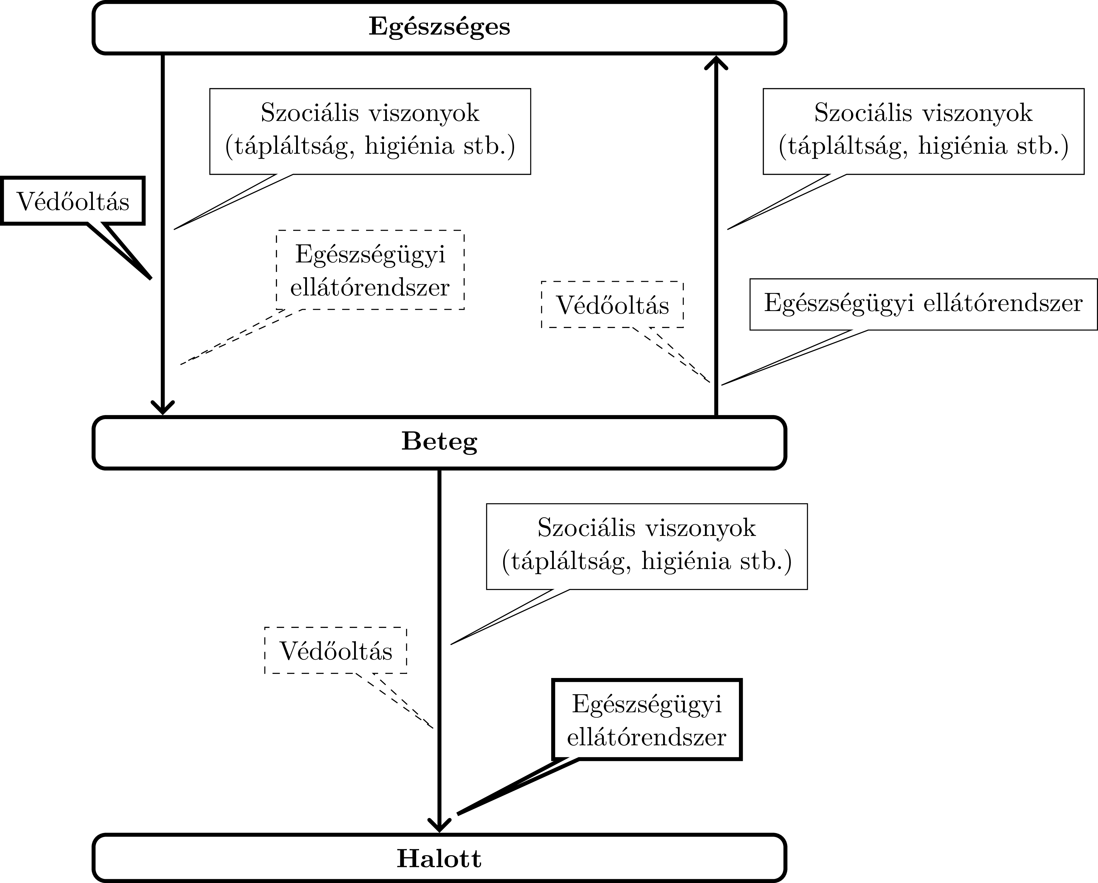 FerenciTamasVedooltasokrolATenyekAlapjan-figure1_C.png