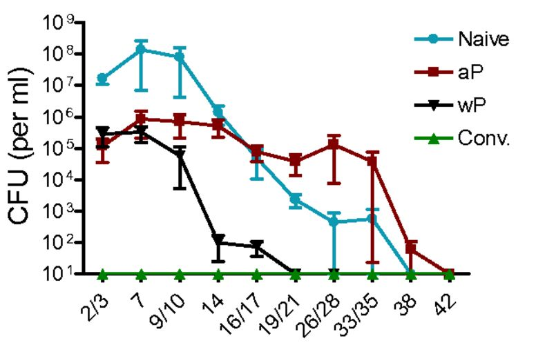 warfel2014_fig1a.png