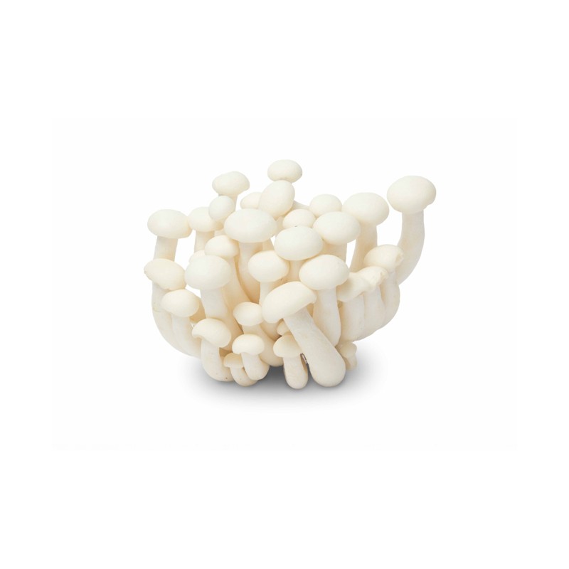 Nálam tavasz csirkétlen kínai leves Vegabüfé receptek, ötletek, hangulatok