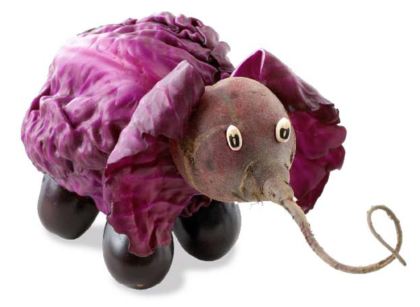 purple-elephant-cabbage.jpg
