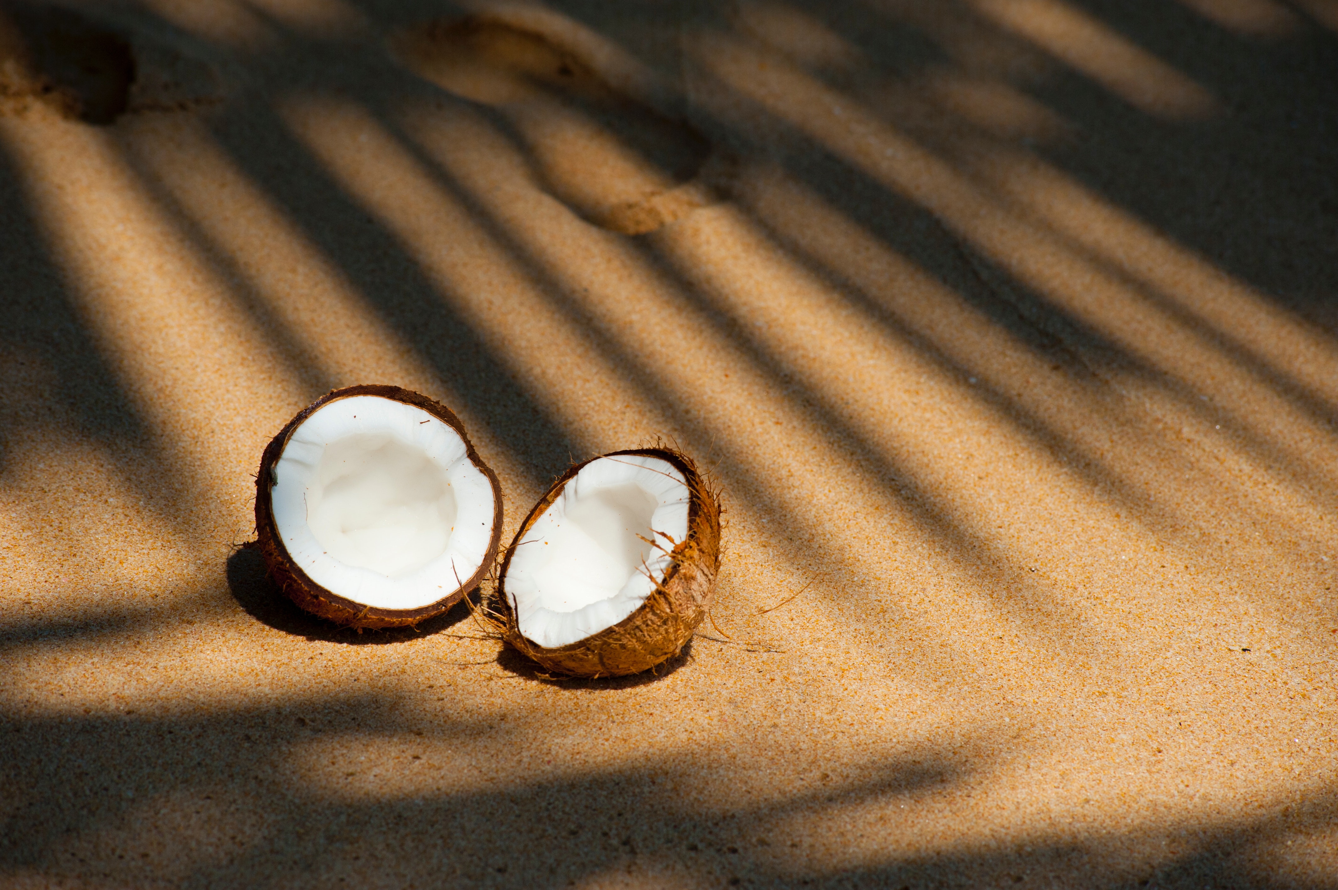 beach-coconut-delicious-322483.jpg