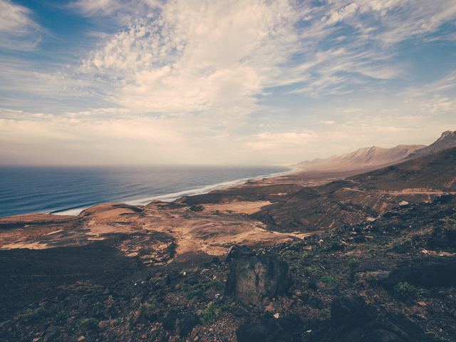Helyi szépség - Fuerteventura és az aloe vera