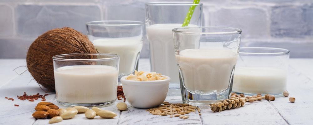 Melyik növényi tejet válasszam?